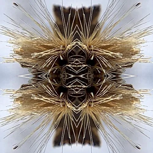 2026_05_10_3341732